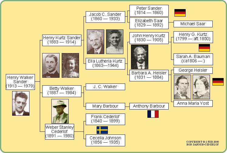 Sander Pedigree Chart